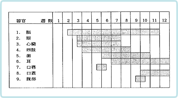人の各期間における臨界期