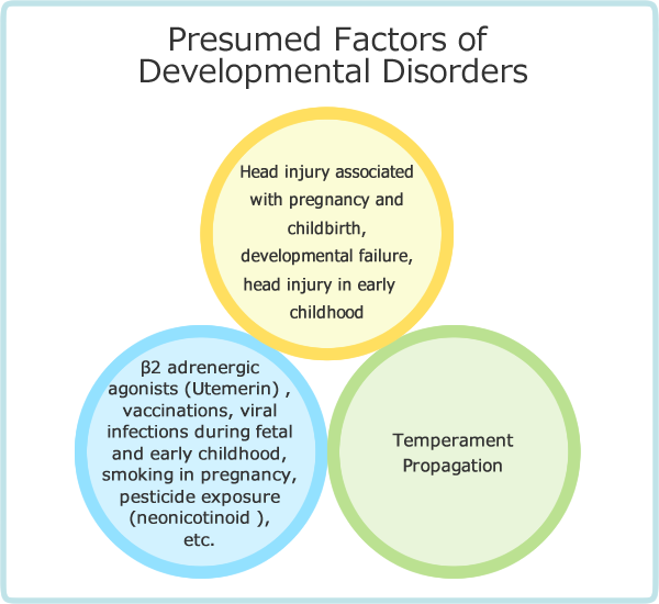 Presumed Factors of Developmental Disorders